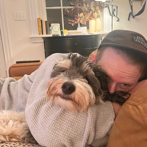 Meet your Posher, Abigail - Picture 2 of 3